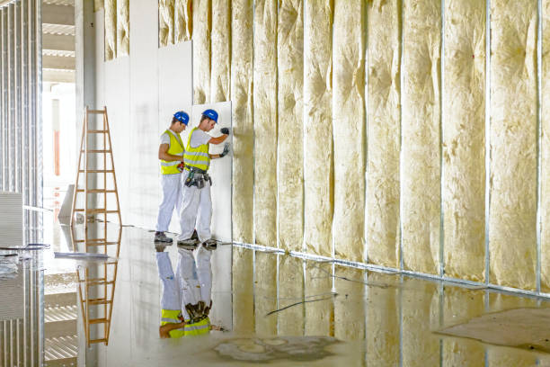 Best Insulation for New Construction  in University, FL